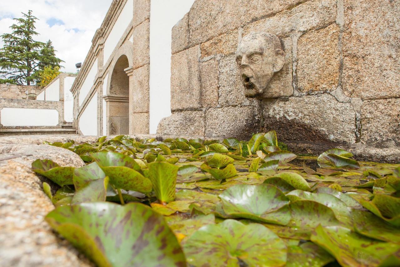 Casa De Quinta Villa Marco de Canavezes Exteriör bild